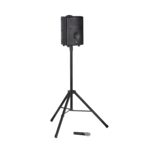 1-Speaker Small Sound System w/ Cordless Microphone