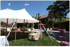 Carnival themed event | carnival tent rentals
