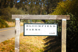 VENUE SPOTLIGHT: BLOOMFIELD EVENTS