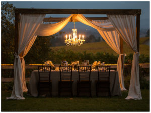 Wedding Inspiration: Elegant and Modern Wedding Design | Twilight