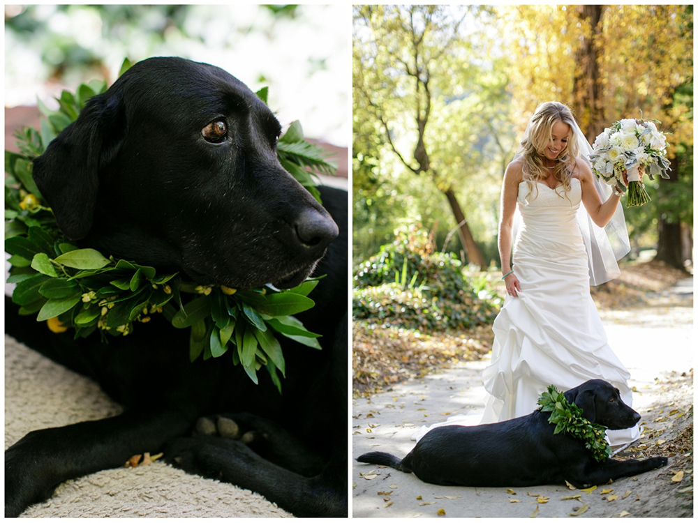 Orchard Chic Wedding - 04