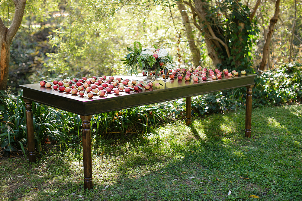 View More: http://jihancerda.pass.us/katie-and-rob-dawn-ranch-wedding