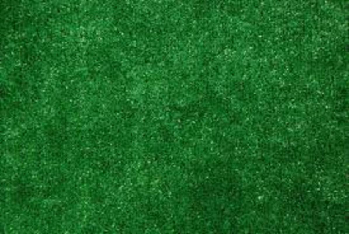 Green Astro Turf