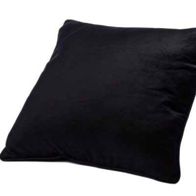 Black Velvet Pillow