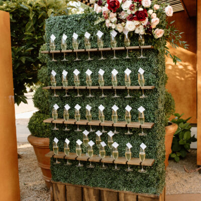Beverage Wall Hedging - Image 4