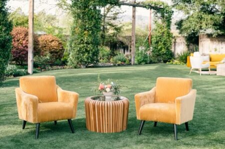 Sunshine Chair - Image 6