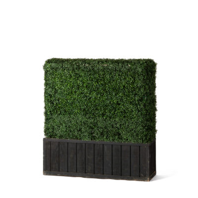 Faux Hedge, 4'