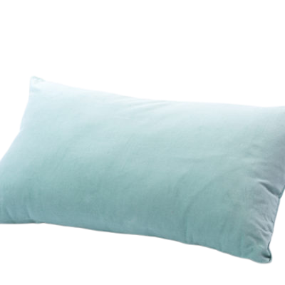 French Blue Velvet Pillow