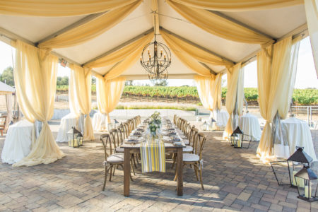 White Top Jumbo Trac Tents - Image 3