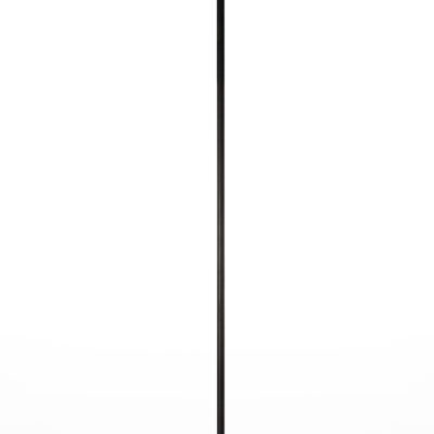 Light, Pole, Black 12'