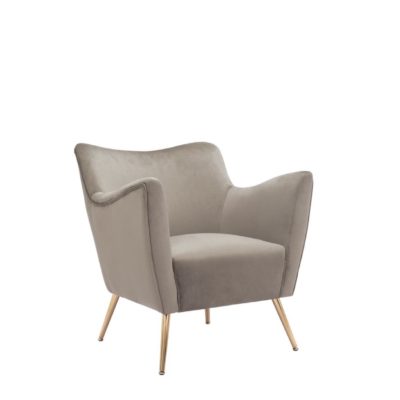Mink Velvet Chair