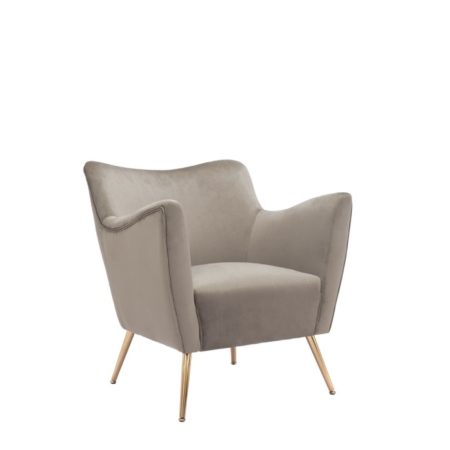 Mink Velvet Chair