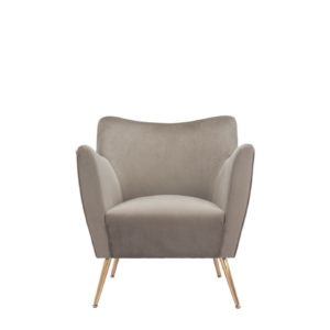 Mink Velvet Chair - Image 2