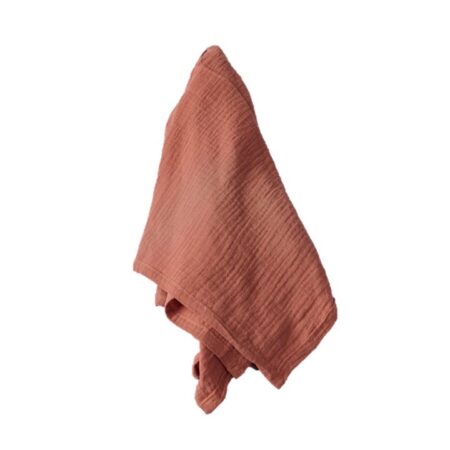 Sonoma Burnt Orange Napkin