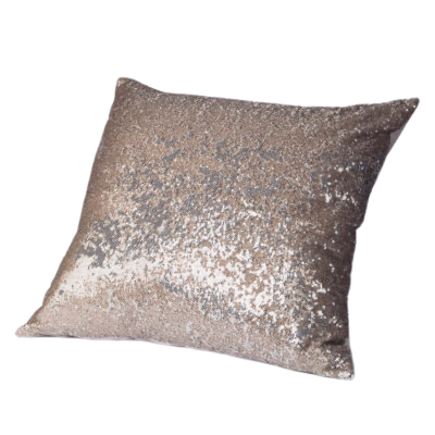 Pixie Silver Pillow