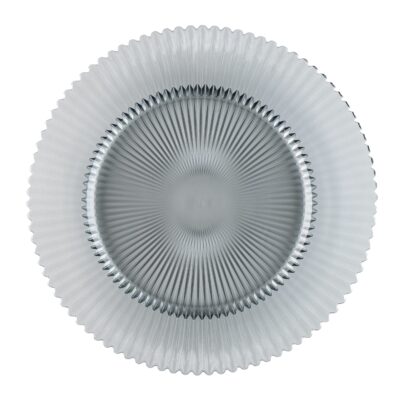 Soleil Steel Charger