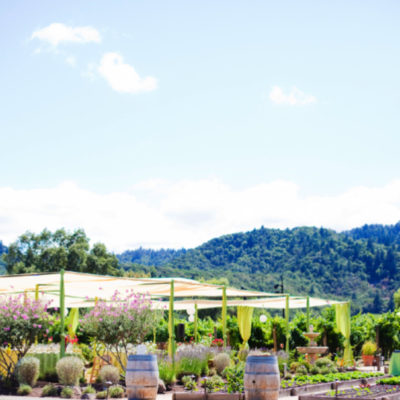 Sonoma Canopy - Image 2