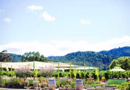 Sonoma Canopy - Image 2