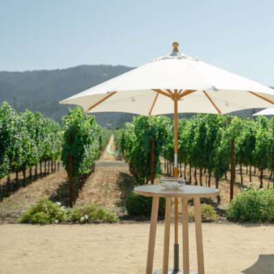 Umbrellas - Image 9