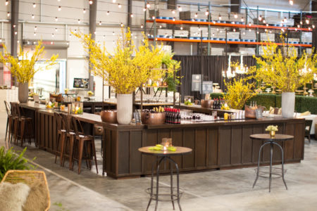 Vineyard Bars - Image 8