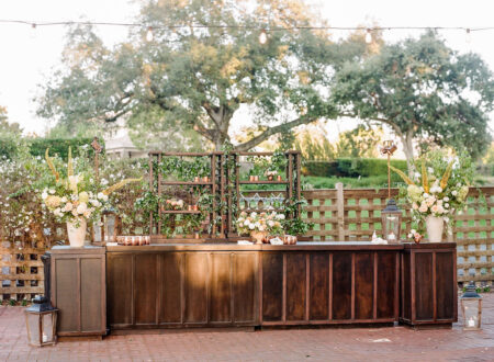 Vineyard Bars - Image 9