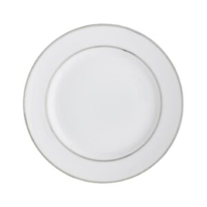 White China with Platinum Rim