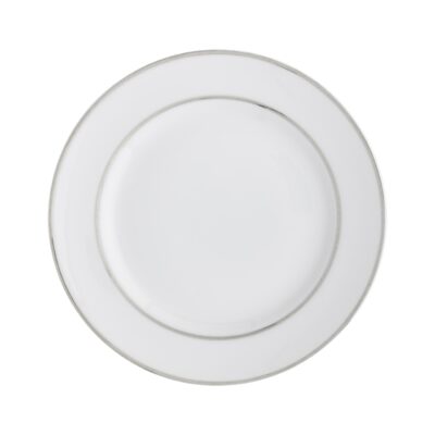 White China with Platinum Rim