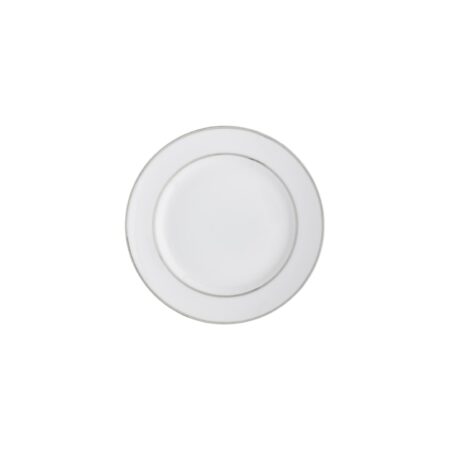 White China with Platinum Rim - Image 4