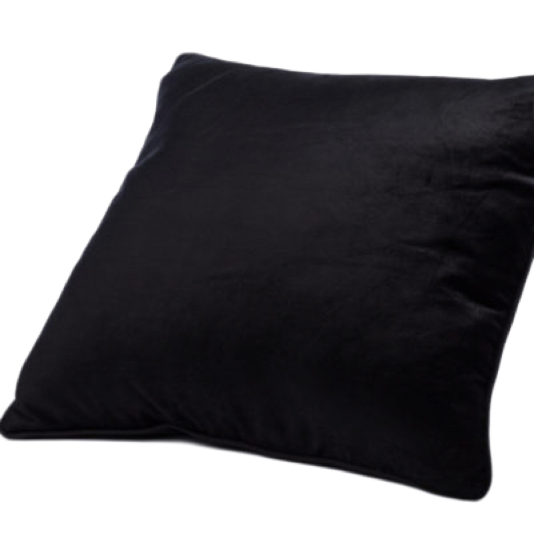 Black Velvet Pillow