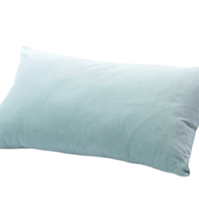 French Blue Velvet Pillow
