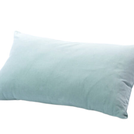 French Blue Velvet Pillow