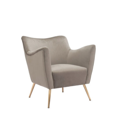 Mink Velvet Chair