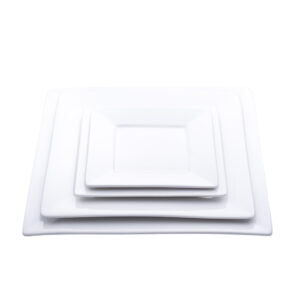 White Square China - Image 5